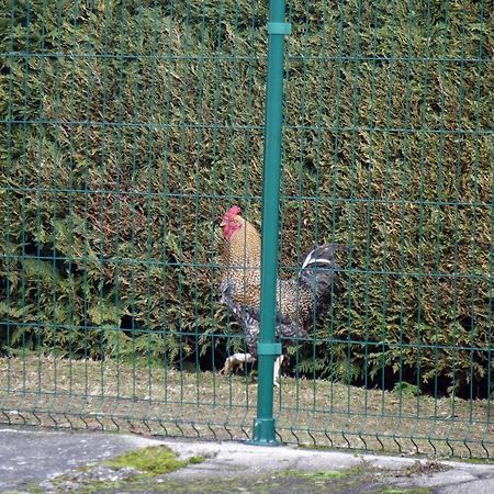 Félines La Crovaヴィラ エクステリア 写真